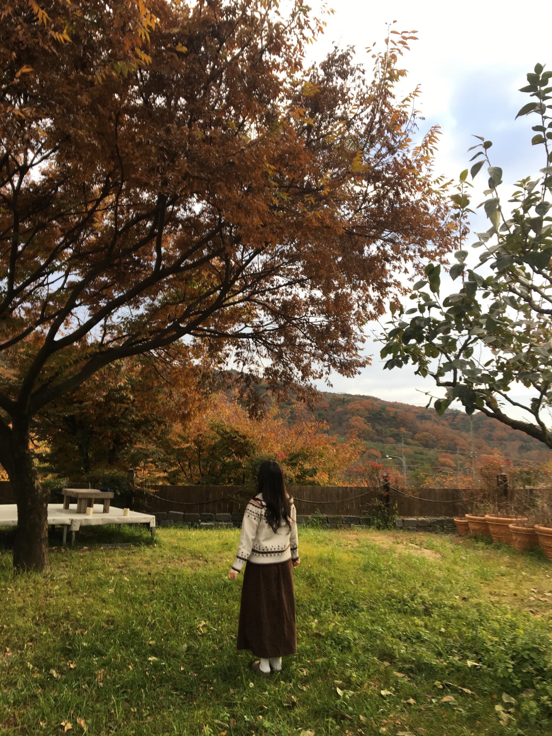 단풍 든 마당에 선 뒷모습